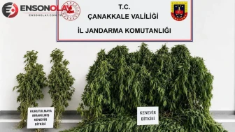 Çanakkale'de uyuşturucu operasyonu : 35 adrese baskın, 68 şüpheli yakalandı