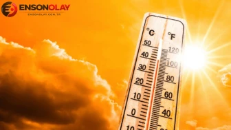 Güney Kore'de 122 Yıl Sonra Unutulmaz Bir Sıcaklık Rekoru Kırıldı