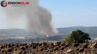 Bursa'da tarım arazisinde başlayan alevler ormana sıçradı, ekipler söndürme çalışmalarına devam ediyor