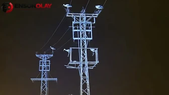 Afyonkarahisar'da göç eden leylekler tellere kondu : Beldelerde elektrik kesintisi yaşandı