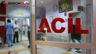 Artvin'de ATV'nin Uçuruma Devrilmesi Sonucu 17 ve 11 Yaşındaki İki Çocuk Yaralandı