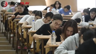Üniversiteye yerleştirme oranı en yüksek liseler hangileridir?