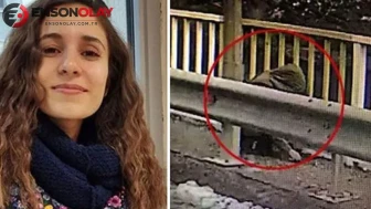 Gülistan Doku dosyasında düğümü çözecek ayrıntı: 8 gün sonra yeniden oradaydı