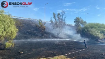 Aydın'da okul yanında yangın : Öğretmenler ve öğrenciler müdahale etti