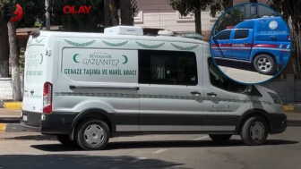 Fıstık bahçesinde kanlı hesaplaşma! 75 yaşındaki amca öz yeğenini başından vurdu