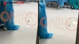 İstanbul’daki şehir hastanesinde skandal görüntü ! Ameliyathanede fare görüldü