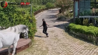 Klip çekimi kabusa dönüyordu: Osmaniye'deüzerine gelen atı fark eden adam son anda kurtuldu