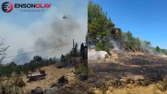 Burdur Bucak'ta Kontrol Altına Alınamayan Orman Yangınında Son Durum