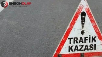Muş'ta kamyonet direğe çarptı : 3'ü çocuk 5 yaralı