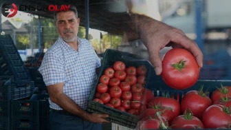 Tarlada kilosu 15, markette 100 TL! 'Fiyatları doğrudan etkiliyor'