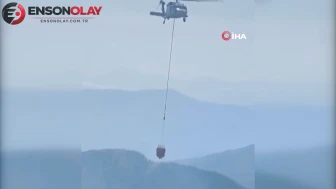 Muğla Fethiye'de bilinmeyen bir nedenden orman yangını çıktı