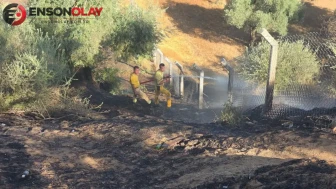 Aydın'da zeytinlik alanda yangın : 2 dönümlük alan zarar gördü