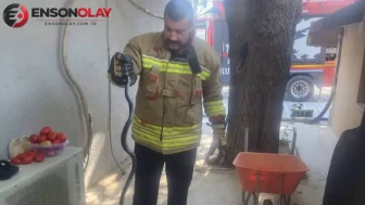 Antakya'da eve giren yılan itfaiye ekiplerince yakalanarak doğaya bırakıldı