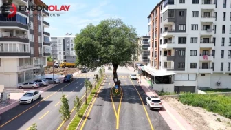 Görenler şaşkınlığını gizleyemiyor: Osmaniye'deki caddenin ortasındaki 200 yıllık sır