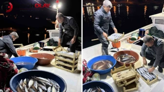Palamut sezonu bereketli başladı: Balıkçılar gece gündüz denizde