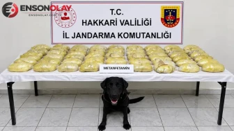 Hakkari'de yabancı plakalı tırda 21 kilo 700 gram metamfetamin ele geçirildi