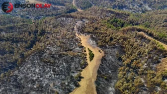 Adana'daki orman yangını kontrol altına alındı