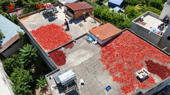Kilosu 300 liradan, günde 500 kilo hazırlanıyor