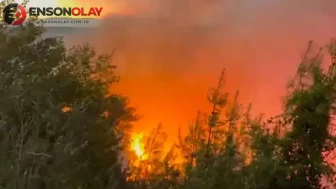 Adana Kozan'da 2 mahallede orman yangını