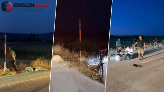 Sürüye daldı, üç koyunu telef etti... Fransız gezginin 8 bin kilometrelik yolculuğu Burdur'da kaza ile bitti