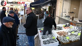 Düzce Akçakoca'da balık fiyatları neden ucuzladı?