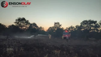 Pazaryeri, Bilecik'te Orman Yangını Kontrol Altına Alındı