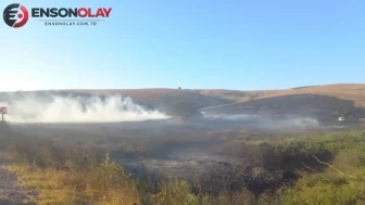 Balıkesir Manyas'ta ot yangını