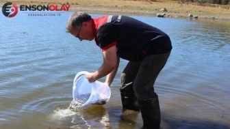 Bolu'da dev balıklandırma operasyonu ! Taşlıyayla Göleti'ne 450 bin sazan bırakıldı
