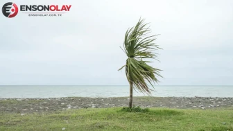 Meteoroloji'den kritik uyarı: Rüzgar hızı artıyor, dikkatli olun!