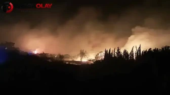 Antalya Serik'te orman yangını felaketi : Evler ve seralar kül oldu