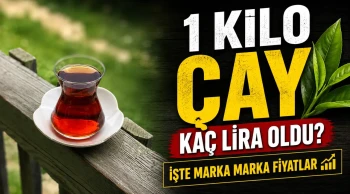 Uzmanlar uyarıyor: Sigara içmek nanoplastiklerin akciğere zararını artırabilir!