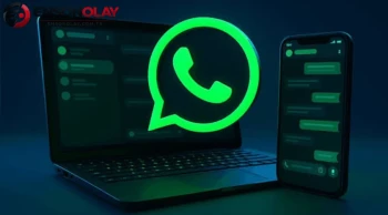 WhatsApp'taki Yeşil, Mavi ve Kırmızı Renkler Ne İfade Ediyor? İşte Resmi Gerçek