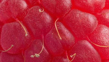 Neredeyse sıfır şeker! Kalp hastalığından insüline iyi gelmediği şey yok... İşte her hafta mutlaka tüketmeniz gereken beş süper meyve