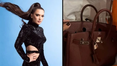 Demet Akalın, son paylaşımında yeni çantasını "yeni bebek" diye tanıttı ve fiyatını açıkladı, hayranları şaşkına döndü!
