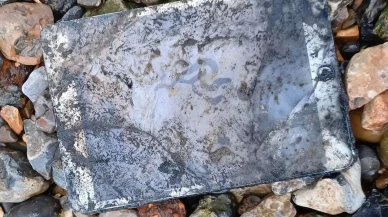 Beş yıl boyunca nehirde hareketsiz durup tarihi suikasti ortaya çıkardı