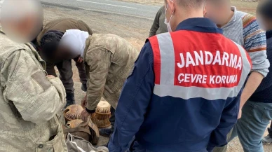 Kars Jandarma Komutanlığı, Kağızman'da kaçak avcıları yakaladı