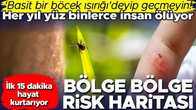 Böcek ısırığı deyip geçmeyin! Her yıl yüz binlerce kişi ölüyor… İlk 15 dakika hayat kurtarıyor