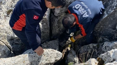 Burdur'da Kayalıklarda Mahsur Kalmış Keçi, AFAD Ekipleri Sayesinde Kurtarıldı!