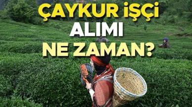 ÇAYKUR'un 2025 İşçi Alımı Sürecinde Son Durum! Başvurular Başladı mı, Kura Tarihi Belli Oldu mu? 1500 Mevsimlik İşçi Alımı Yapılacak mı? Gözler ÇAYKUR Genel Müdürlüğü Duyurusunda!