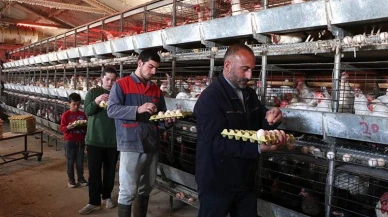 Erzurum'un soğuğunda çadırda üretime başladı! Şimdi patlayan talebe yetişemiyor