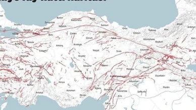Evimin Altından Fay Hattı Geçiyor mu? E-Devlet Üzerinden Sorgulayabilirsiniz!