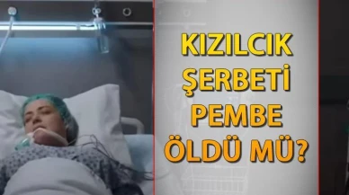 Kızılcık Şerbeti Pembe öldü mü, Sibel Taşçıoğlu diziden ayrıldı mı? Fragman yayınlandı, cevap belli oldu! Kızılcık Şerbeti Pembe Sibel Taşçıoğlu neden diziden ayrıldı?