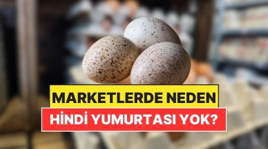 Türkiye'de Hindi Yumurtaları Neden Piyasada Yer Almıyor?