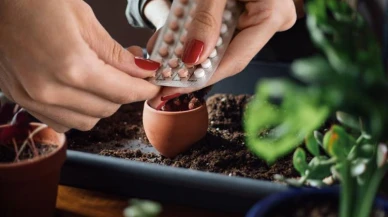 Ölmüş çiçekleri böyle diriltiyor... Doğum kontrol hapının bilinmeyen kullanımı!