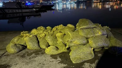 Samsun’da 1 ton kaçak kum midyesi ele geçirildi
