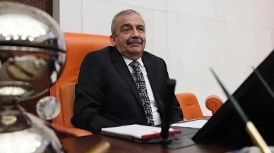 TBMM'den 'Sırrı Süreyya Önder' kararı