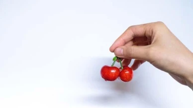 Vişne Sapının Sağlığa Olan Etkileri Araştırılıyor!