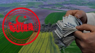 70.000 TL’ye tarla, 84.000 TL’ye arsa!