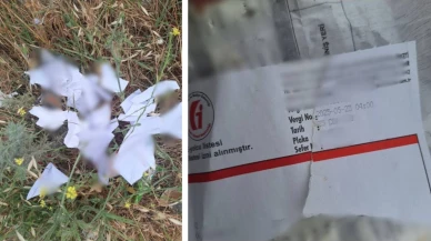 Çöpler titizlikle araştırıldı ve suçlular belirlendi
