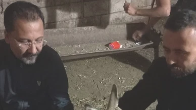 Karaca, hayatta kalmak için saniyelerle yırttı!